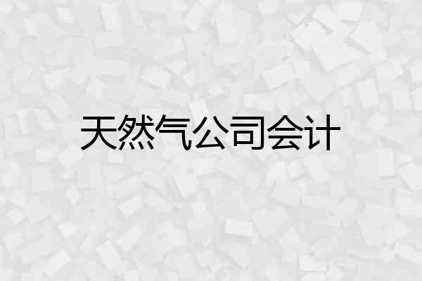 天然气公司会计
