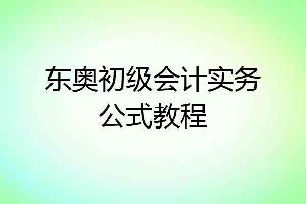 东奥初级会计实务公式教程