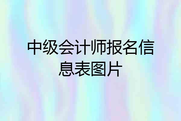 中级会计师报名信息表图片
