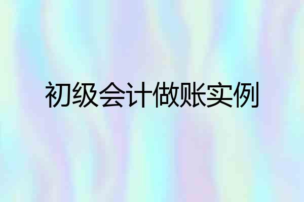 初级会计做账实例