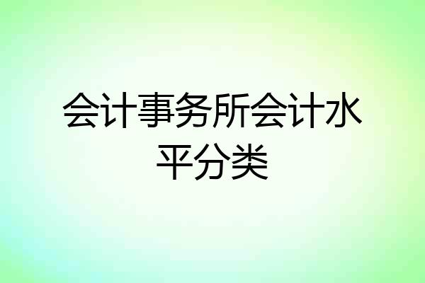 会计事务所会计水平分类