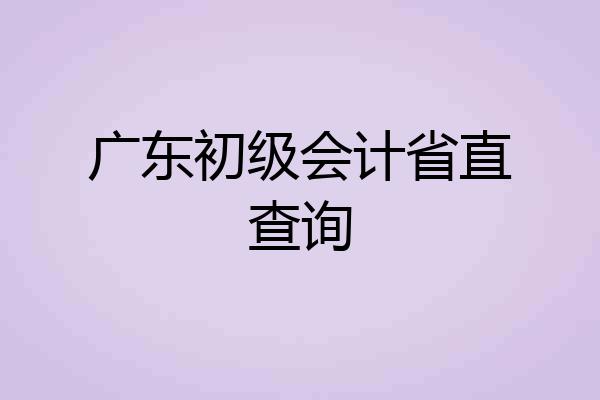 广东初级会计省直查询