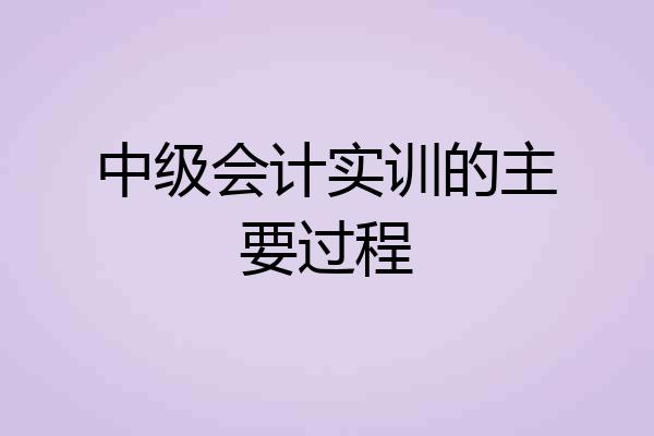 中级会计实训的主要过程
