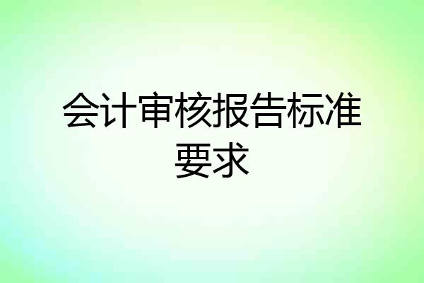 会计审核报告标准要求