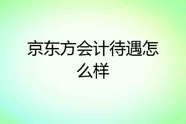 京东方会计待遇怎么样