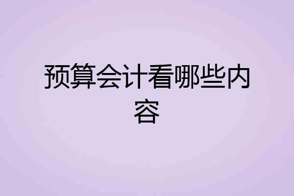 预算会计看哪些内容
