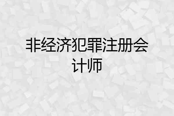 非经济犯罪注册会计师