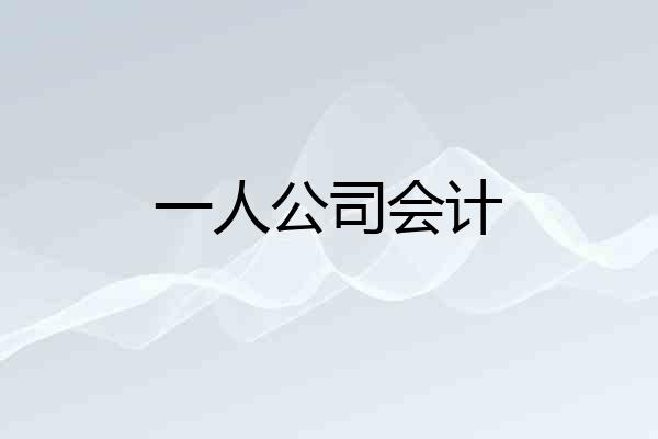 一人公司会计
