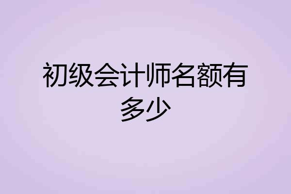 初级会计师名额有多少