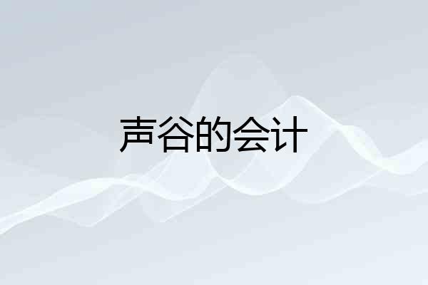 声谷的会计
