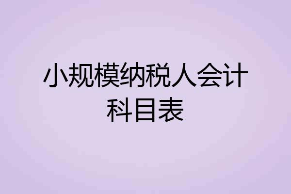 小规模纳税人会计科目表