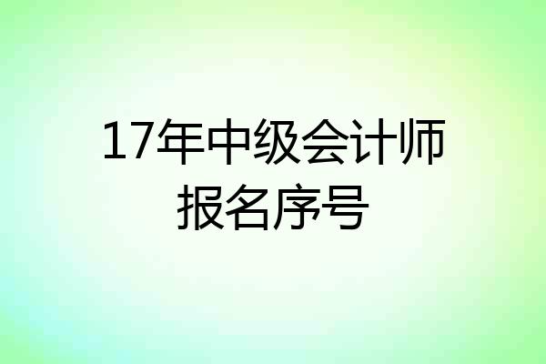 17年中级会计师报名序号