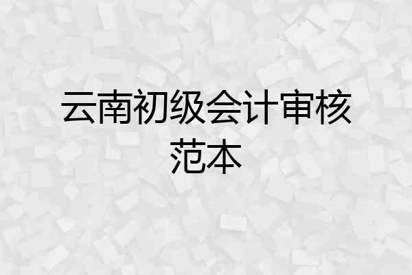 云南初级会计审核范本