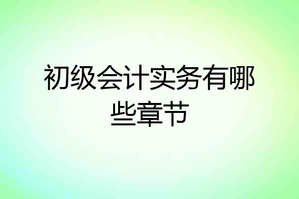 初级会计实务有哪些章节