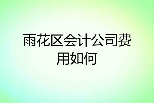 雨花区会计公司费用如何