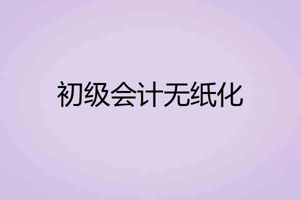 初级会计无纸化