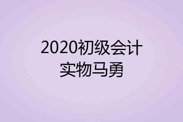 2020初级会计实物马勇