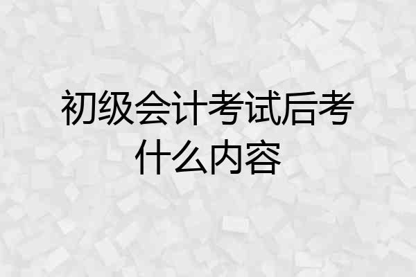 初级会计考试后考什么内容