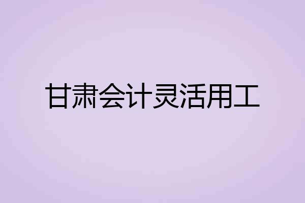甘肃会计灵活用工