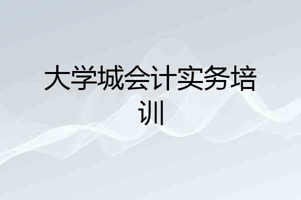 大学城会计实务培训