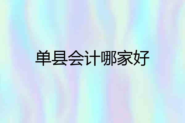 单县会计哪家好