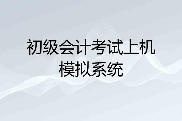 初级会计考试上机模拟系统