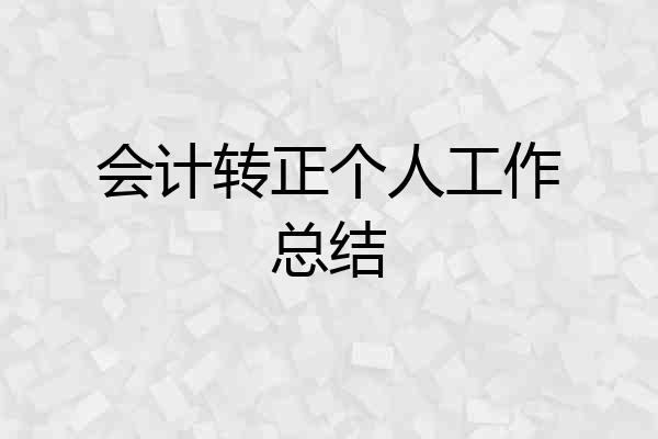 会计转正个人工作总结