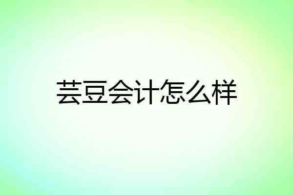 芸豆会计怎么样