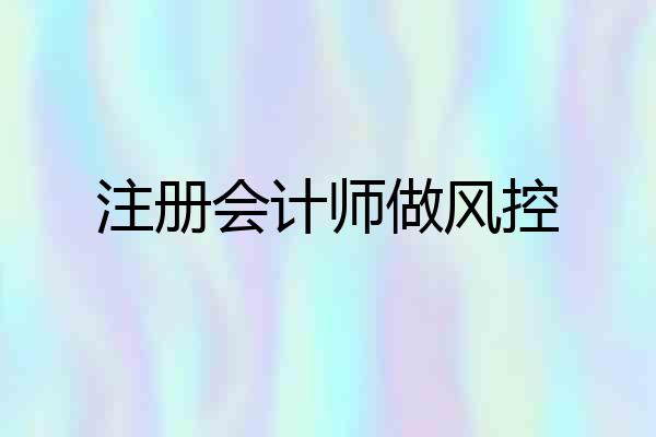注册会计师做风控