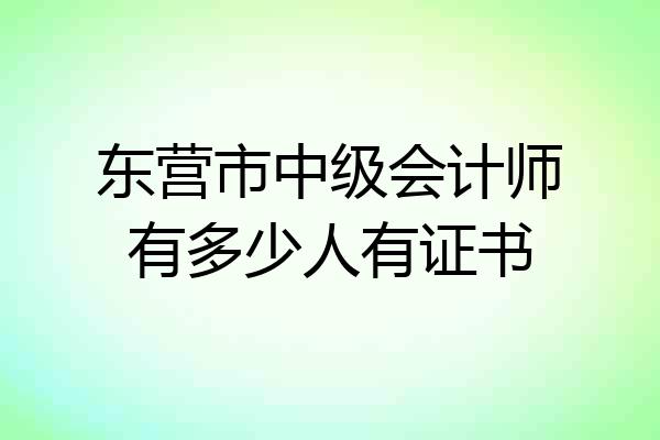 东营市中级会计师有多少人有证书