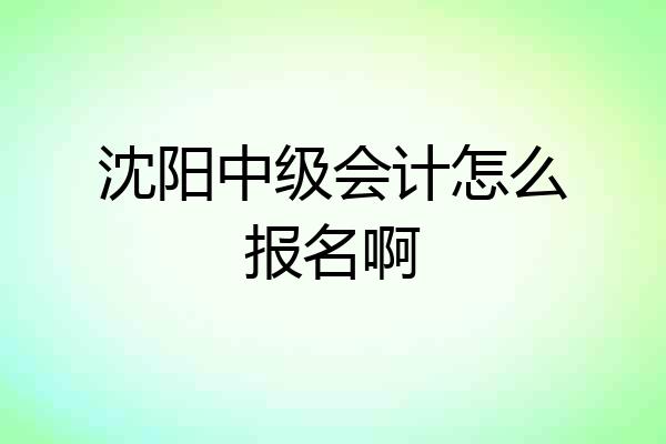 沈阳中级会计怎么报名啊