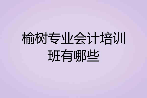 榆树专业会计培训班有哪些
