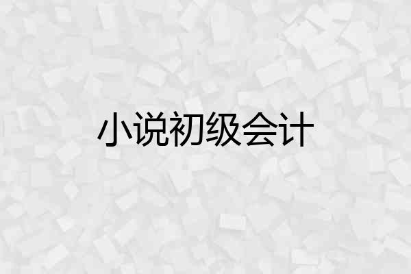 小说初级会计