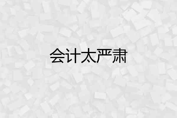 会计太严肃