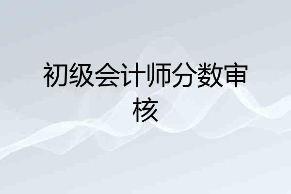 初级会计师分数审核