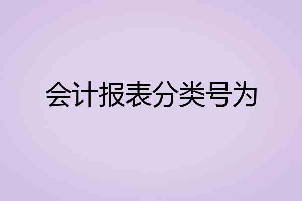 会计报表分类号为