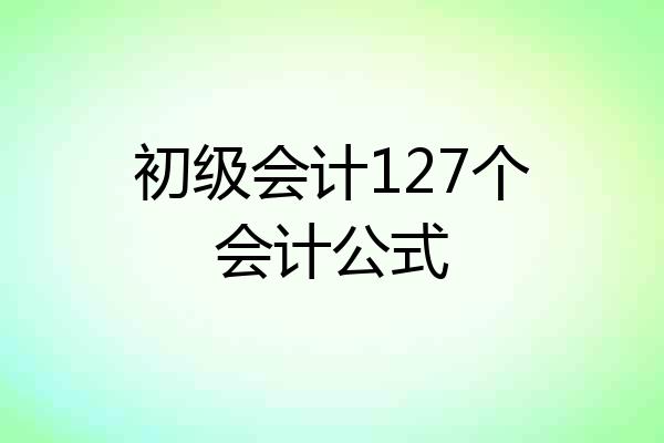 初级会计127个会计公式