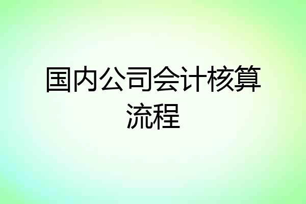 国内公司会计核算流程