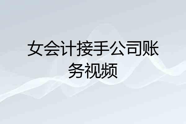 女会计接手公司账务视频