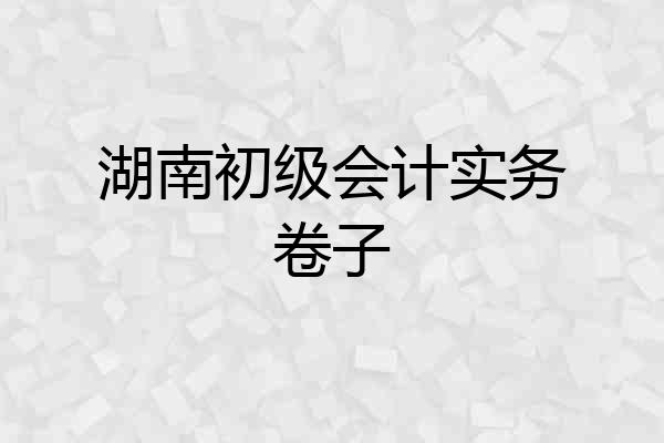 湖南初级会计实务卷子