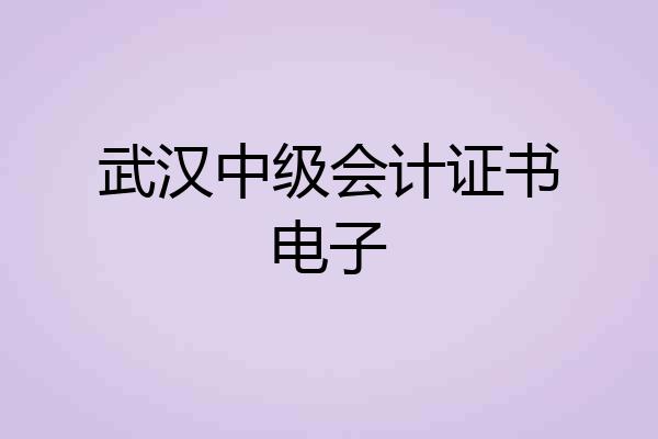 武汉中级会计证书电子