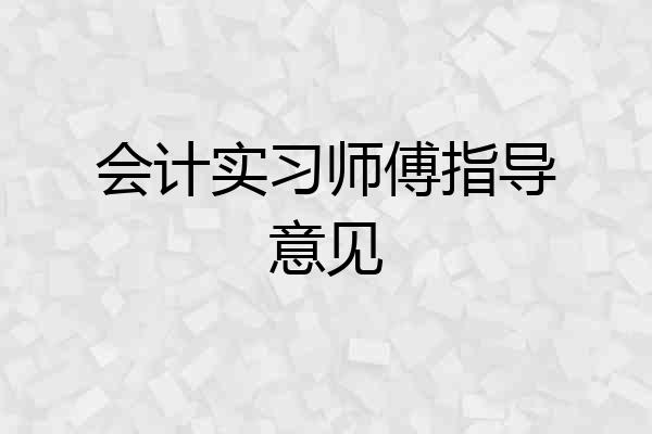 会计实习师傅指导意见