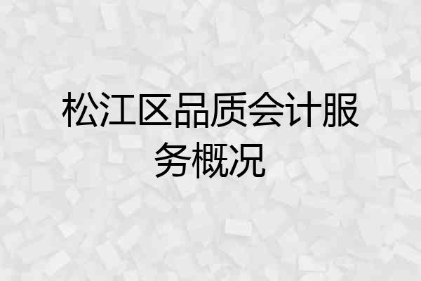 松江区品质会计服务概况