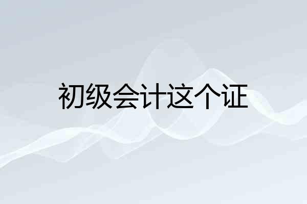 初级会计这个证