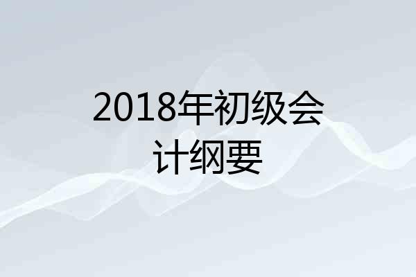 2018年初级会计纲要