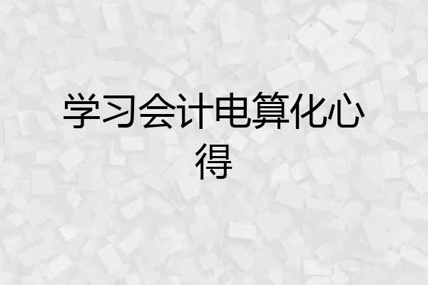 学习会计电算化心得