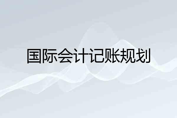 国际会计记账规划