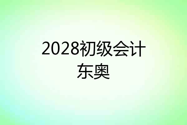2028初级会计东奥