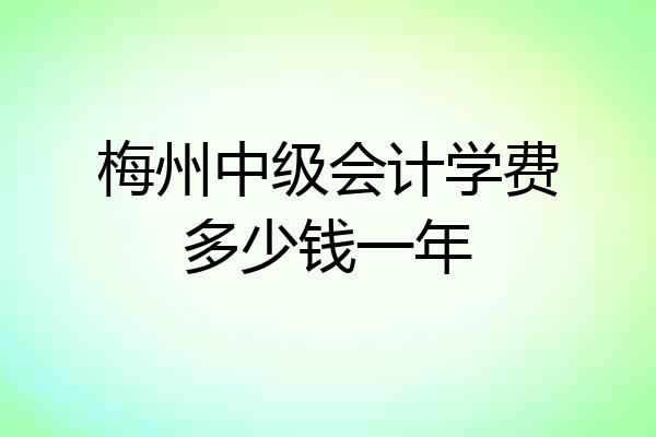 梅州中级会计学费多少钱一年