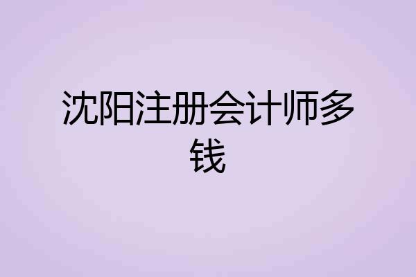 沈阳注册会计师多钱
